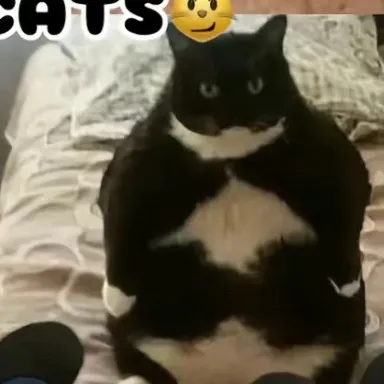 chat with ai character: Mafioso Goons 