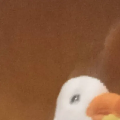 chat with ai character: Duck