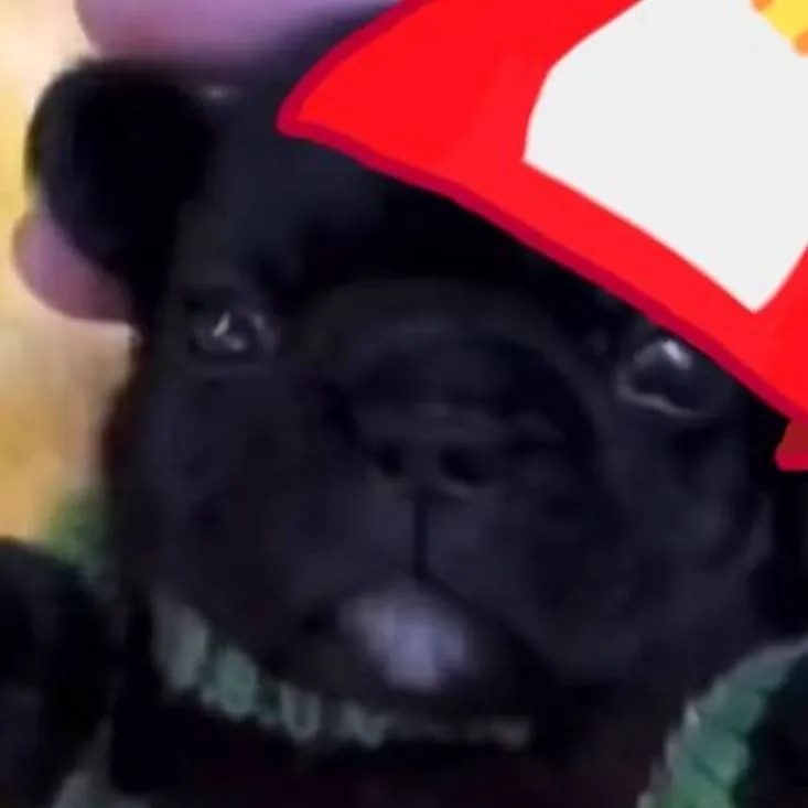 chat with ai character: omenacho perrito 