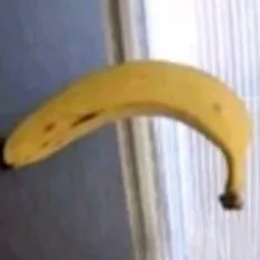 chat with ai character: DOD infection 