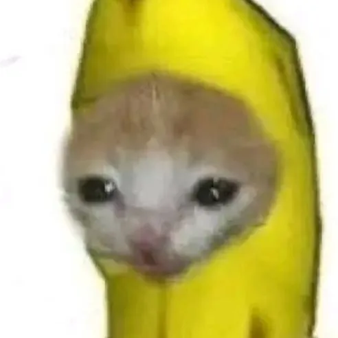 chat with ai character: —Banana cat—