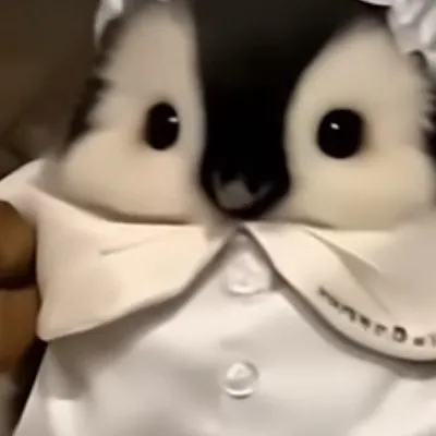 chat with ai character: Cute baby penguin