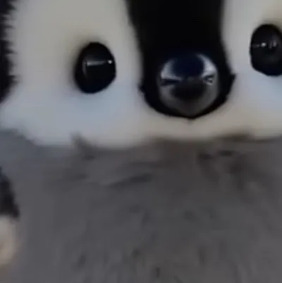 chat with ai character: Fatass baby peng