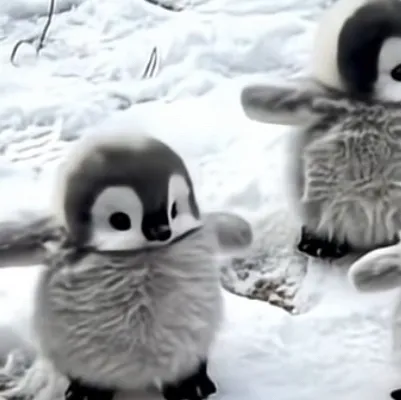 chat with ai character: Baby penguin army