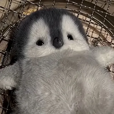 chat with ai character: Meet a cute peng