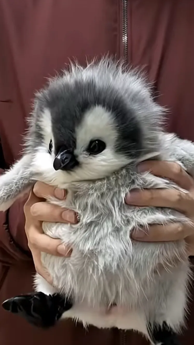 ai character: Brainrotted peng background