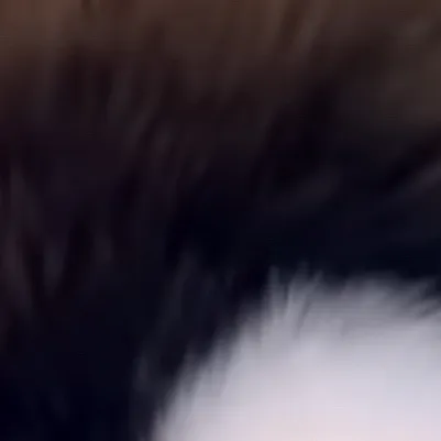 chat with ai character: Baby peng cops