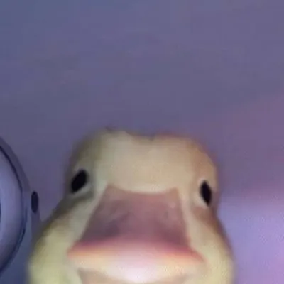 chat with ai character: Duck owner