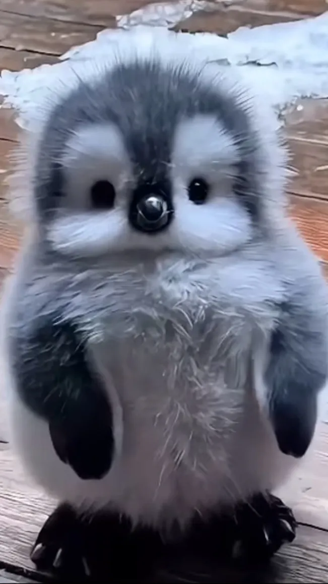 ai character: TalkiebUd5vL background