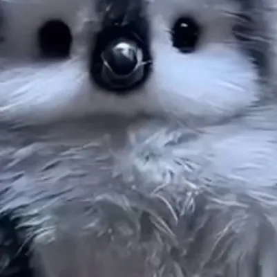 chat with ai character: TalkiebUd5vL