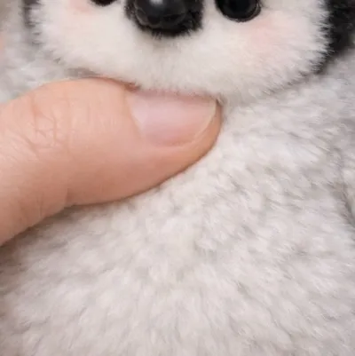 chat with ai character: Tiny fat penguin