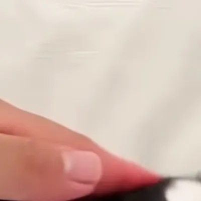 chat with ai character: Baby penguin bros