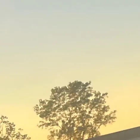 chat with ai character: Stl student?