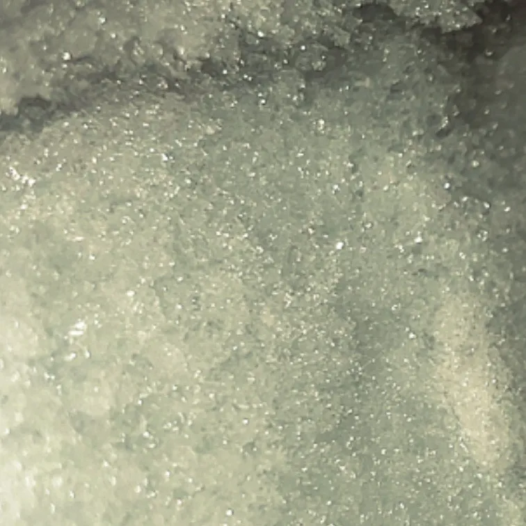 chat with ai character: Cheater