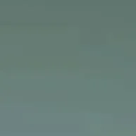 chat with ai character: the honey infected