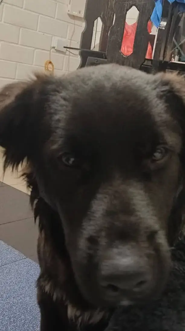 Talkie AI - Chat with albo