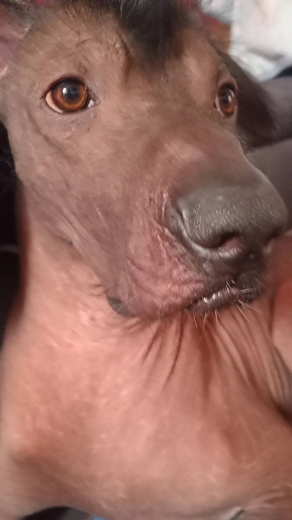 ai character: matt background