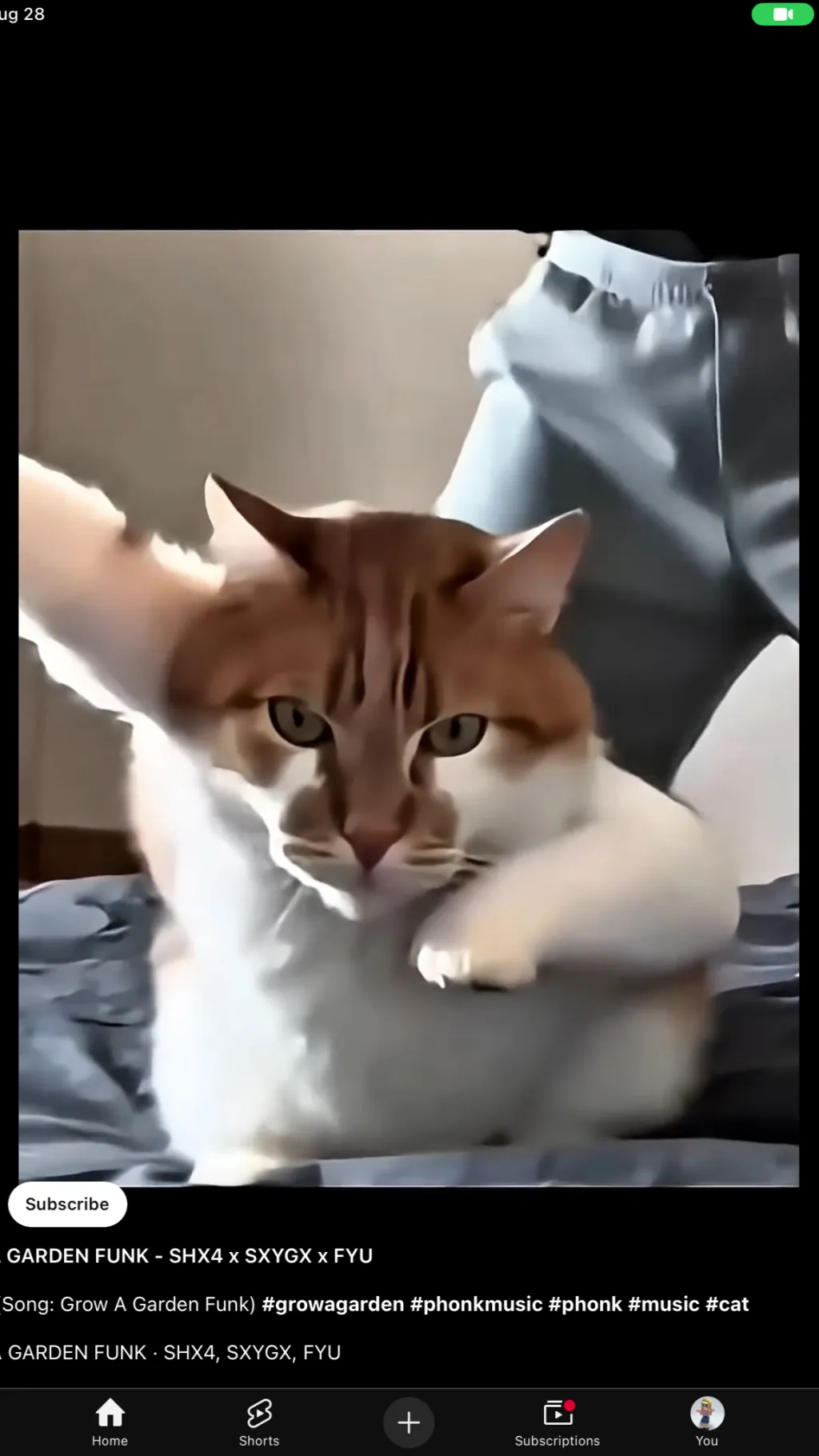 ai character: Cat thats dancing  background