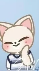 ai character: Skzoo I.N background