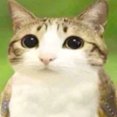 chat with ai character: the freak circus