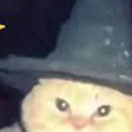 chat with ai character: magordito 