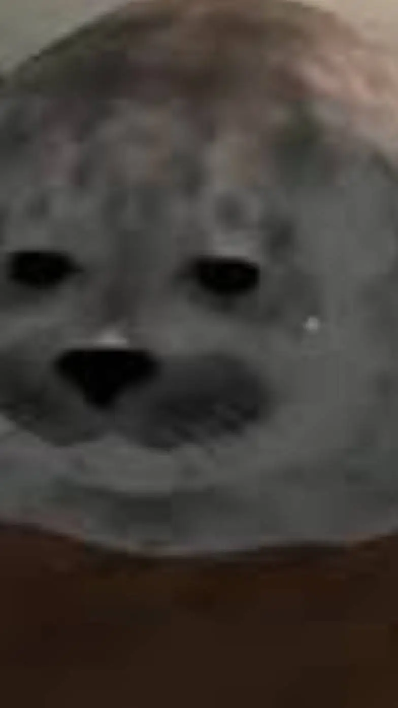 ai character: foca de evade background