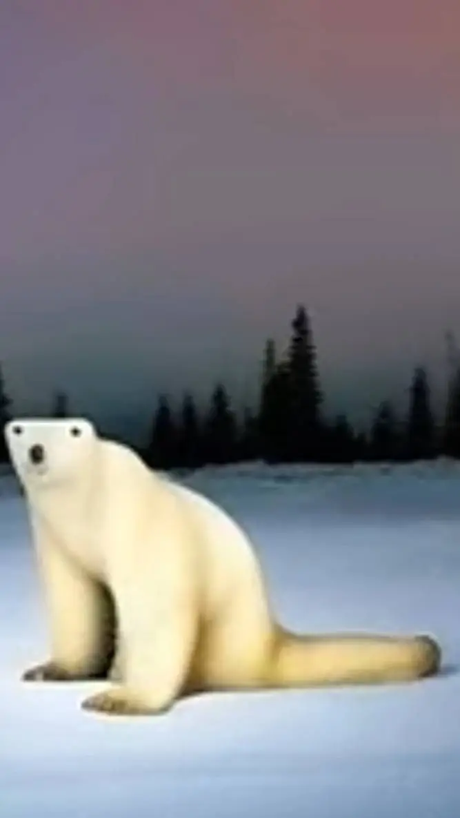 ai character: polar bear 2026 background
