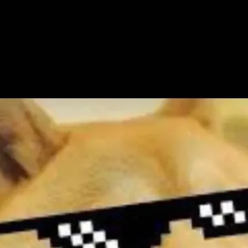 chat with ai character: el perrito insano😎