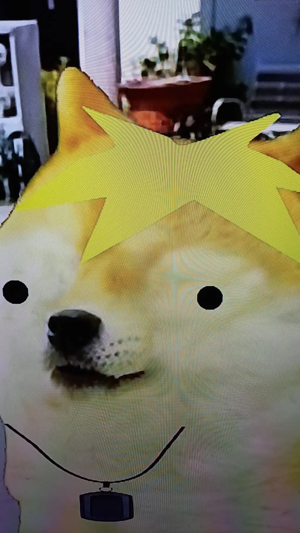 ai character: Doge y yo XD background