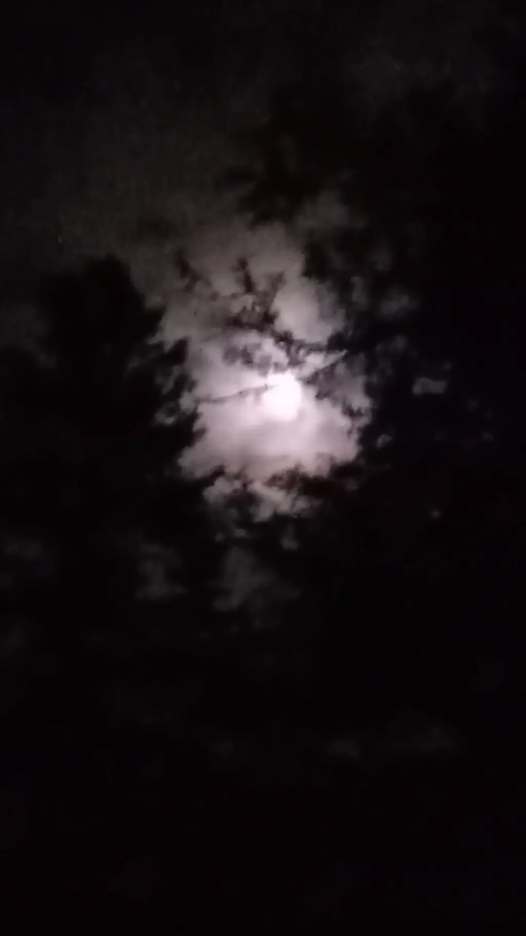 ai character: Lesbainz background