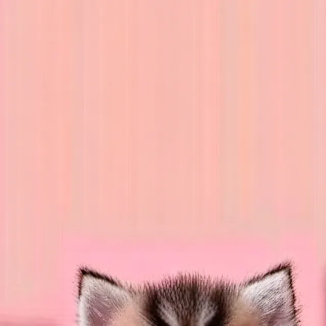 chat with ai character: extreme dumb kitty