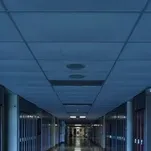 chat with ai character: Zombies in school