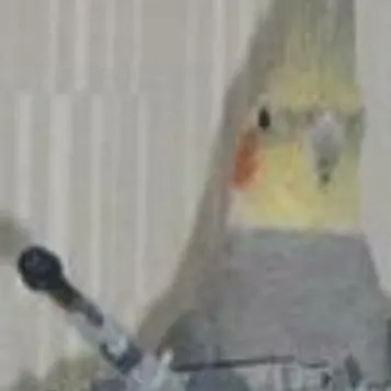 chat with ai character: Roblox Crew