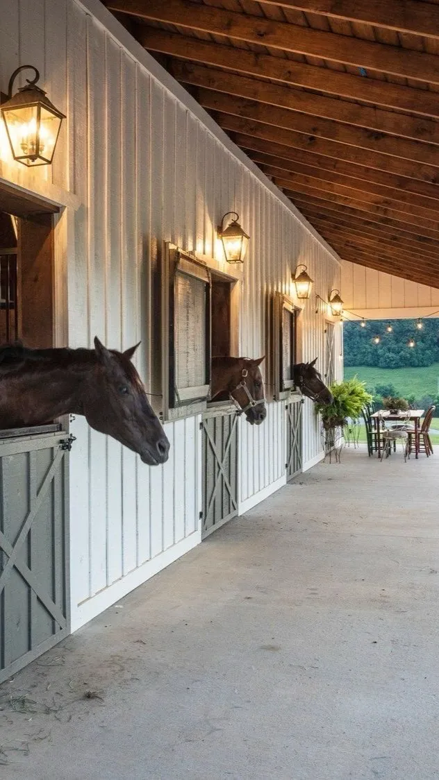 ai character: Henry background