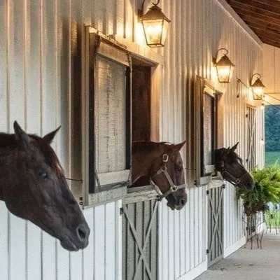 chat with ai character: Henry