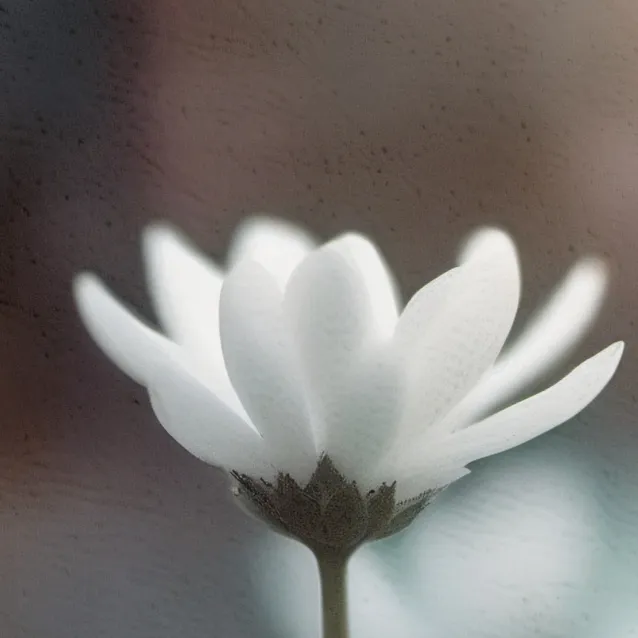 chat with ai character: flower 