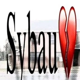 chat with ai character: THAT ONE SYBAU GUY