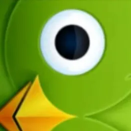 chat with ai character: DUOLINGO