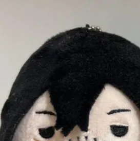 chat with ai character: AIZAWA BUT PLUSHIE