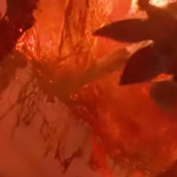 chat with ai character: stranger thing vf 