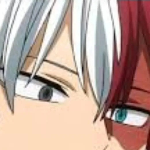 chat with ai character: shoto todoroki ♥