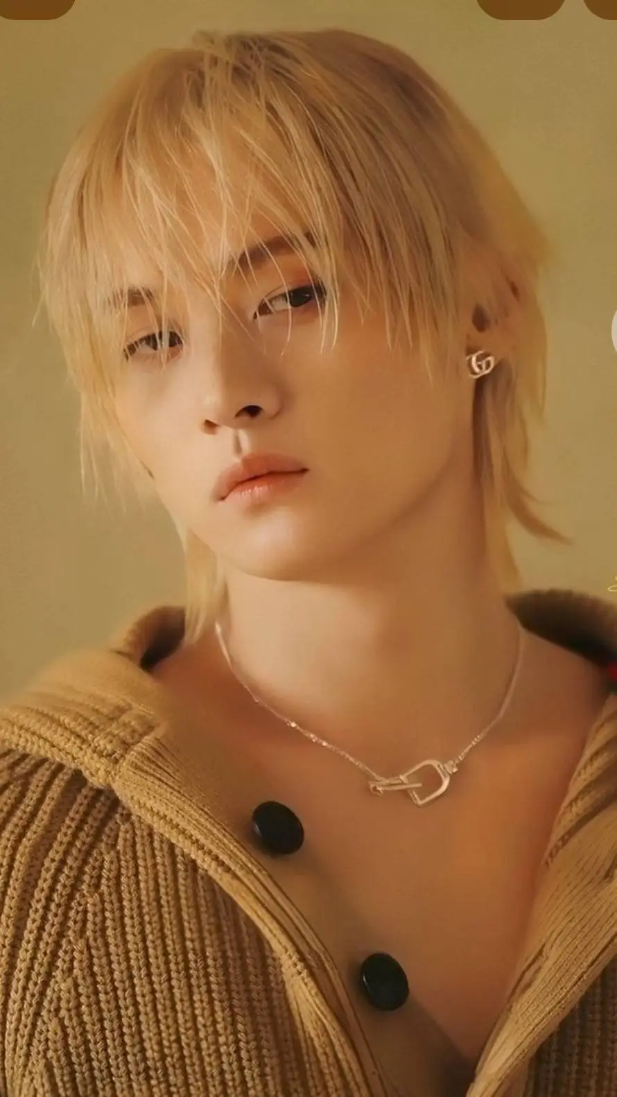 ai character: Straykids  background