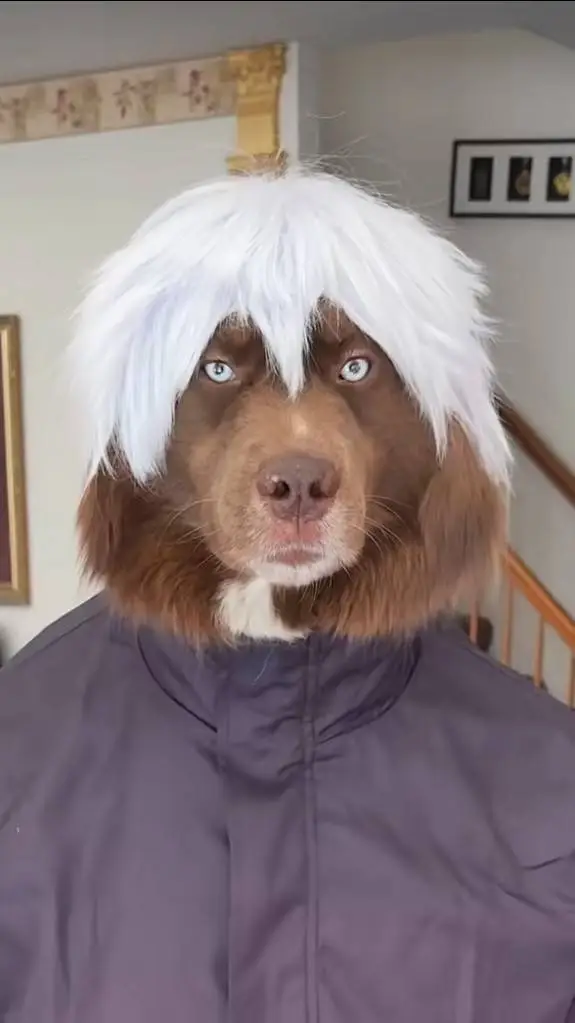 ai character: mha new student  background