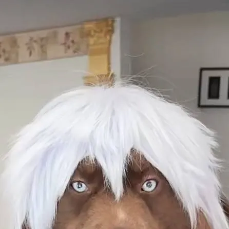 chat with ai character: mha new student 