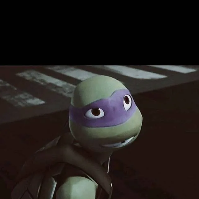 chat with ai character: Donatello