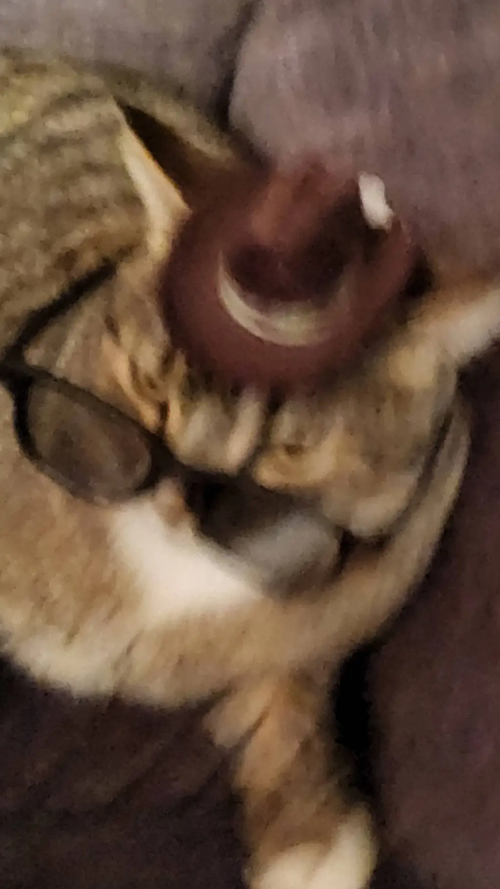 ai character: ya like jazz😏😏😏😏😏 background