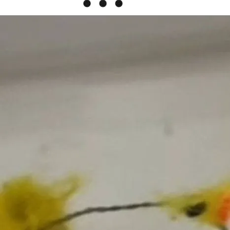 chat with ai character: no roots skz😆