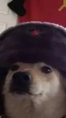 ai character: Perro sovietico xd background