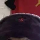 chat with ai character: Perro sovietico xd