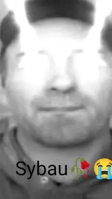ai character: Sean Casey  background